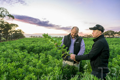 October 2022 / KANGAROO-FLAT-0033