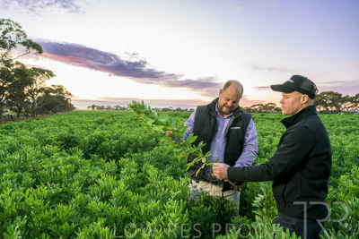 October 2022 / KANGAROO-FLAT-0034