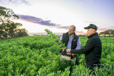 October 2022 / KANGAROO-FLAT-0036