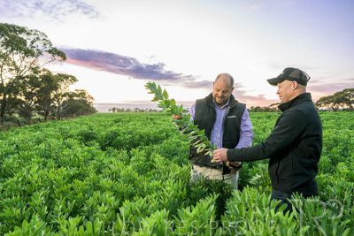 October 2022 / KANGAROO-FLAT-0038