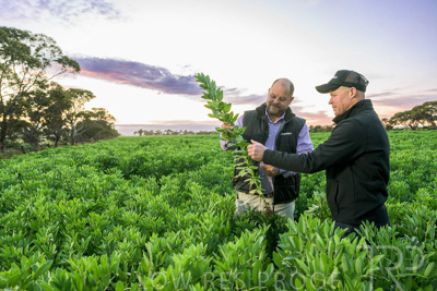 October 2022 / KANGAROO-FLAT-0039