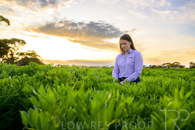 October 2022 / KANGAROO-FLAT-0054