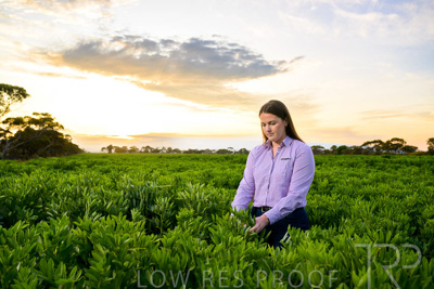 October 2022 / KANGAROO-FLAT-0056