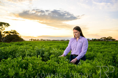 October 2022 / KANGAROO-FLAT-0058