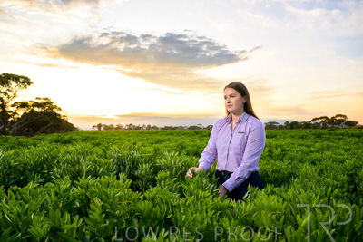 October 2022 / KANGAROO-FLAT-0059