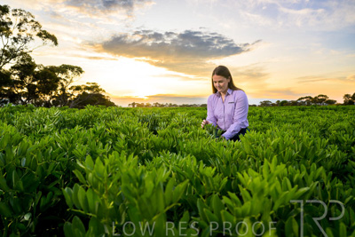 October 2022 / KANGAROO-FLAT-0063