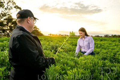 October 2022 / KANGAROO-FLAT-0066