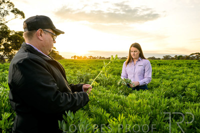 October 2022 / KANGAROO-FLAT-0068