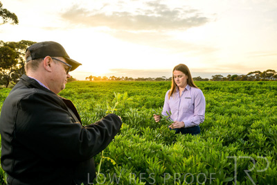 October 2022 / KANGAROO-FLAT-0071