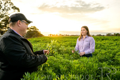 October 2022 / KANGAROO-FLAT-0075