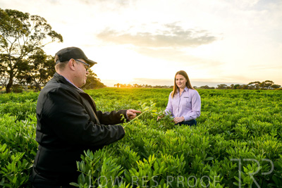 October 2022 / KANGAROO-FLAT-0079