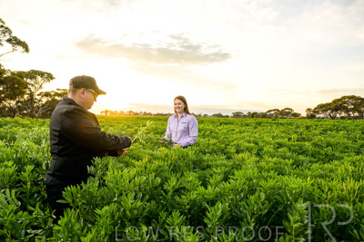 October 2022 / KANGAROO-FLAT-0080