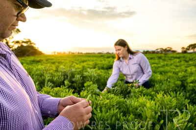 October 2022 / KANGAROO-FLAT-0090