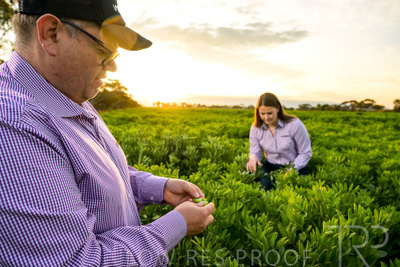 October 2022 / KANGAROO-FLAT-0099