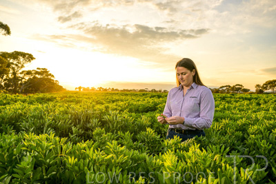 October 2022 / KANGAROO-FLAT-0114