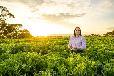 October 2022 / KANGAROO-FLAT-0118