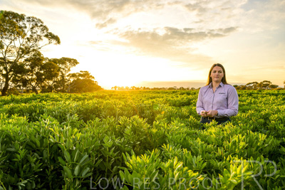 October 2022 / KANGAROO-FLAT-0120