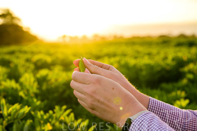 October 2022 / KANGAROO-FLAT-0124