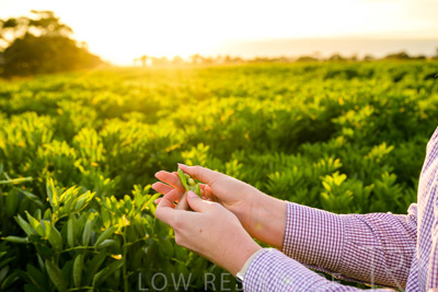 October 2022 / KANGAROO-FLAT-0126