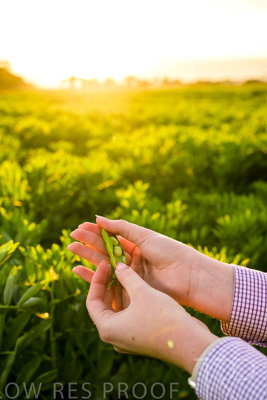 October 2022 / KANGAROO-FLAT-0128