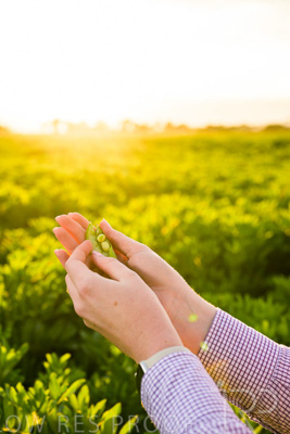 October 2022 / KANGAROO-FLAT-0134