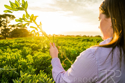 October 2022 / KANGAROO-FLAT-0138