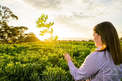 October 2022 / KANGAROO-FLAT-0140