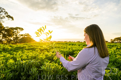 October 2022 / KANGAROO-FLAT-0146