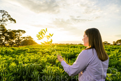 October 2022 / KANGAROO-FLAT-0147