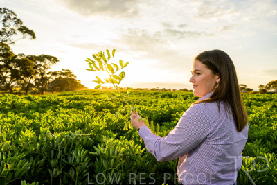 October 2022 / KANGAROO-FLAT-0151