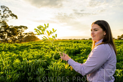 October 2022 / KANGAROO-FLAT-0153