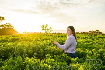 October 2022 / KANGAROO-FLAT-0155