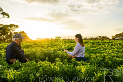 October 2022 / KANGAROO-FLAT-0160