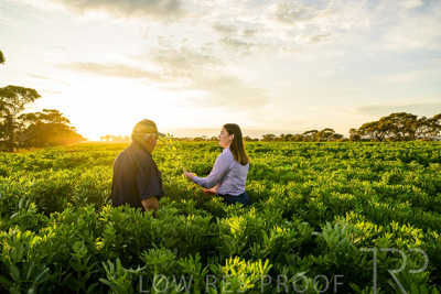 October 2022 / KANGAROO-FLAT-0163