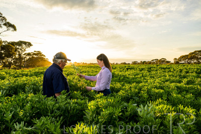 October 2022 / KANGAROO-FLAT-0171