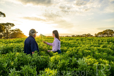 October 2022 / KANGAROO-FLAT-0173