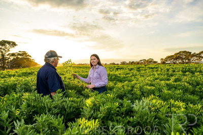 October 2022 / KANGAROO-FLAT-0175