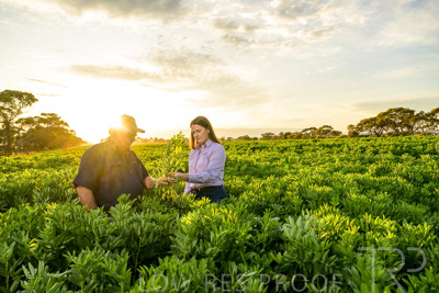 October 2022 / KANGAROO-FLAT-0176