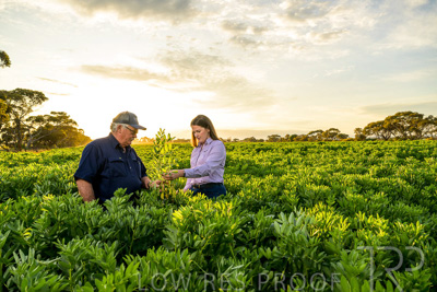 October 2022 / KANGAROO-FLAT-0177