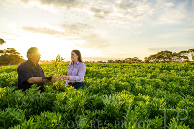 October 2022 / KANGAROO-FLAT-0178