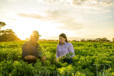 October 2022 / KANGAROO-FLAT-0182