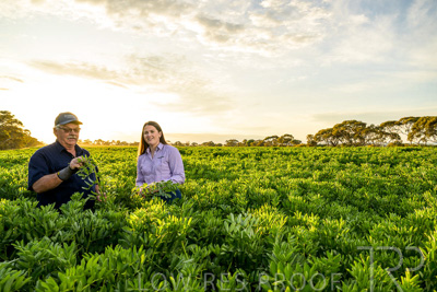 October 2022 / KANGAROO-FLAT-0189