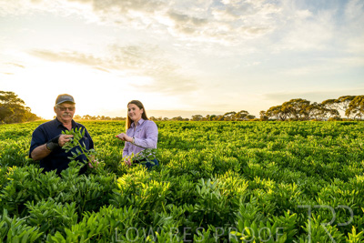 October 2022 / KANGAROO-FLAT-0190