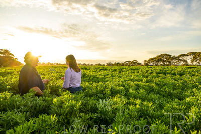 October 2022 / KANGAROO-FLAT-0193