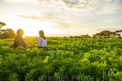 October 2022 / KANGAROO-FLAT-0195