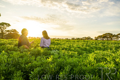 October 2022 / KANGAROO-FLAT-0196