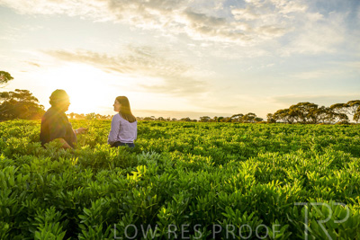 October 2022 / KANGAROO-FLAT-0197