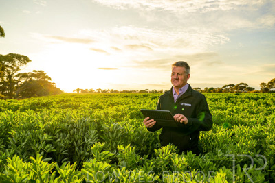 October 2022 / KANGAROO-FLAT-0200