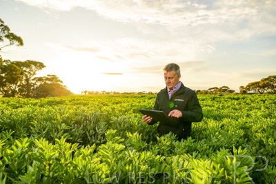 October 2022 / KANGAROO-FLAT-0204