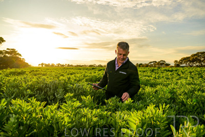 October 2022 / KANGAROO-FLAT-0205